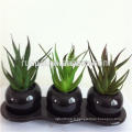 Mini plantes succulentes artificielles vertes bon marché avec pot